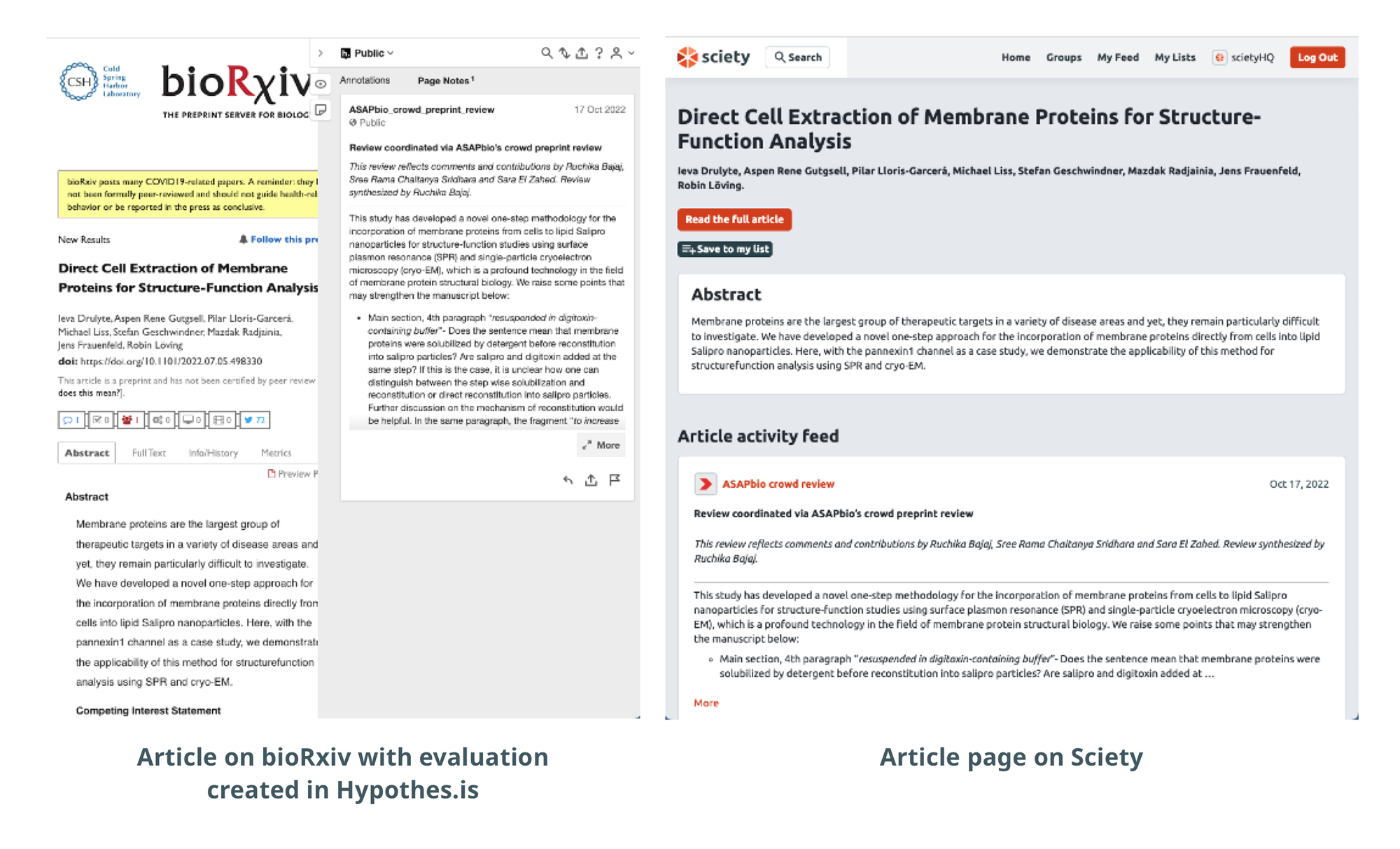 Are you evaluating preprints? Here's how to showcase your work on Sciety